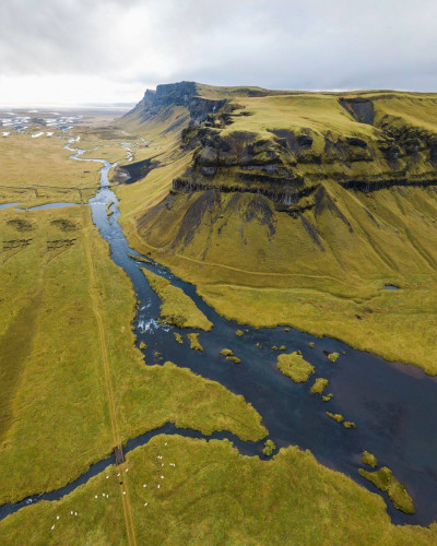 Green landscape with a few sheep